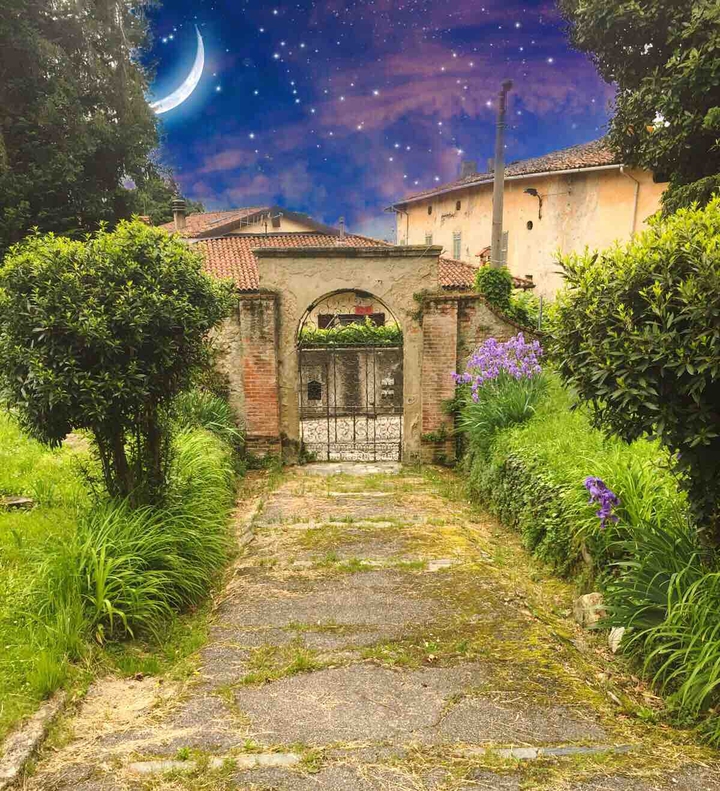 Magic garden