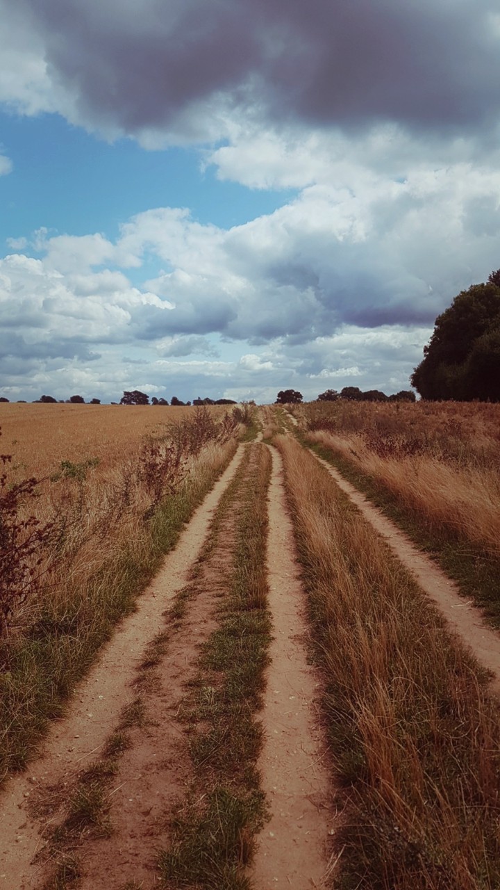field