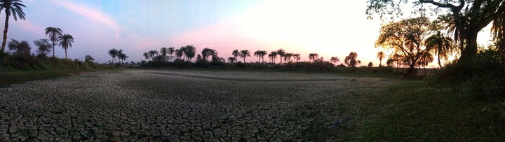 Dried Pond