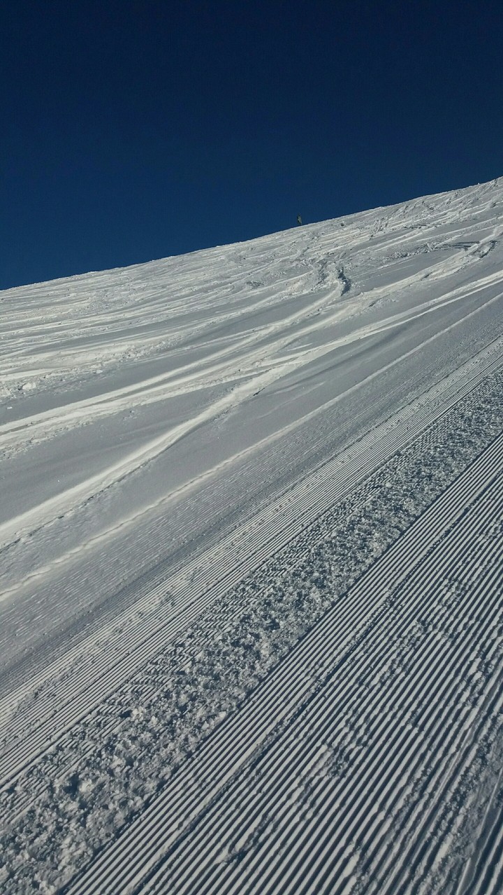Ski