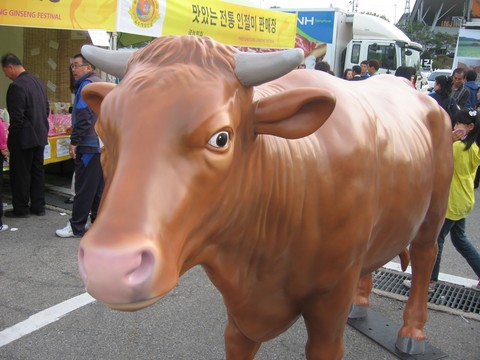 Animal