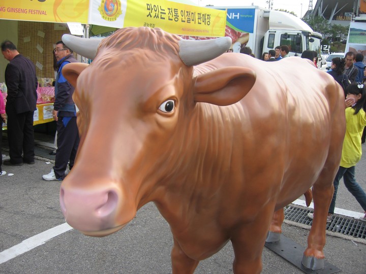 Animal