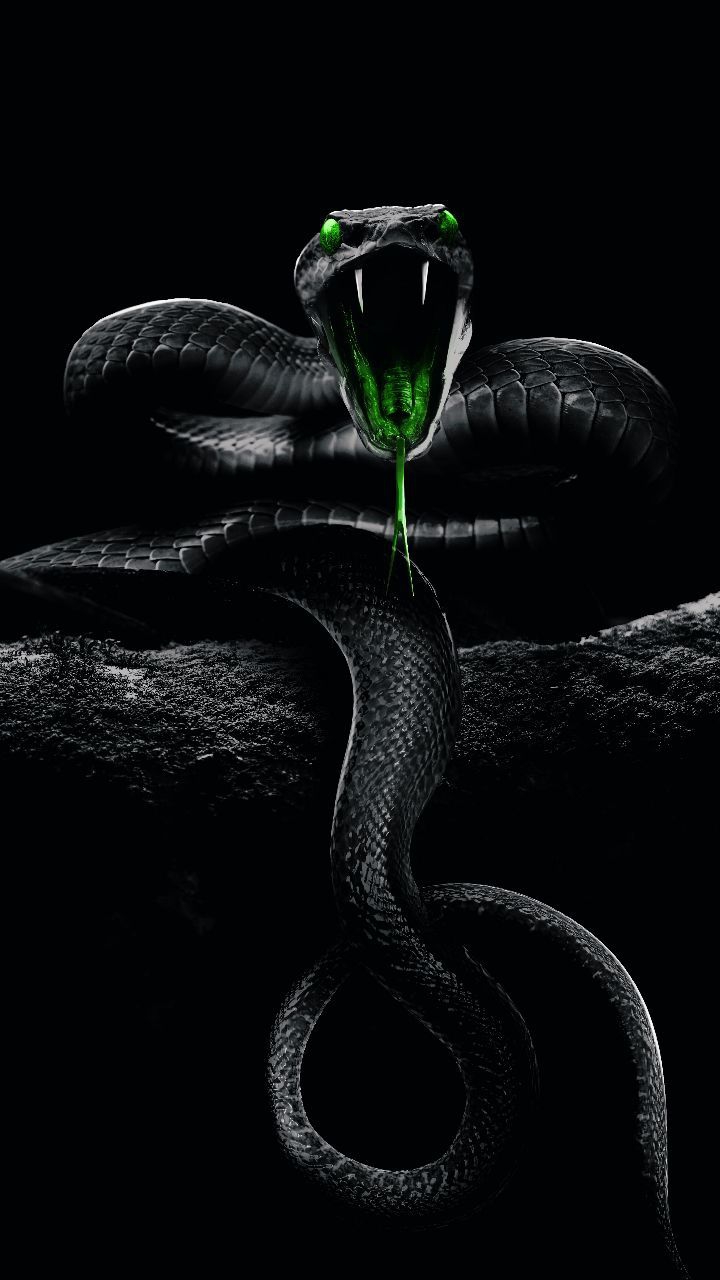 Background