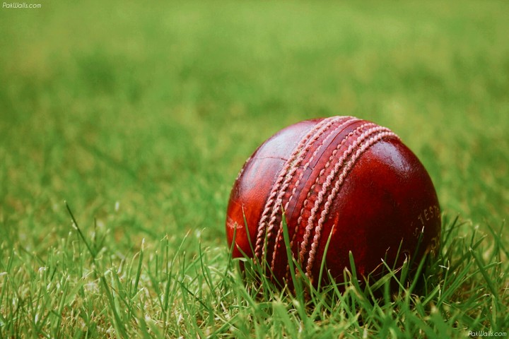 cricket ball