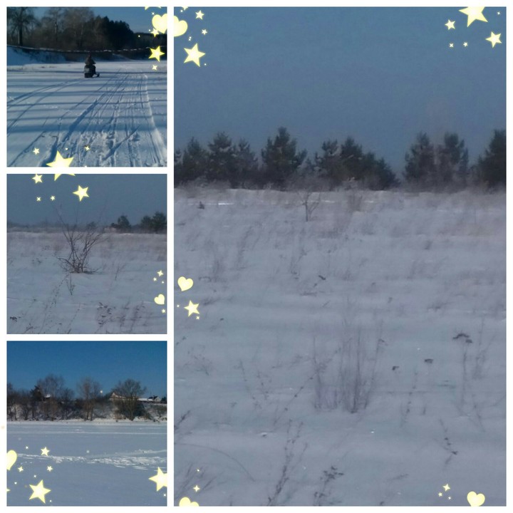 winter