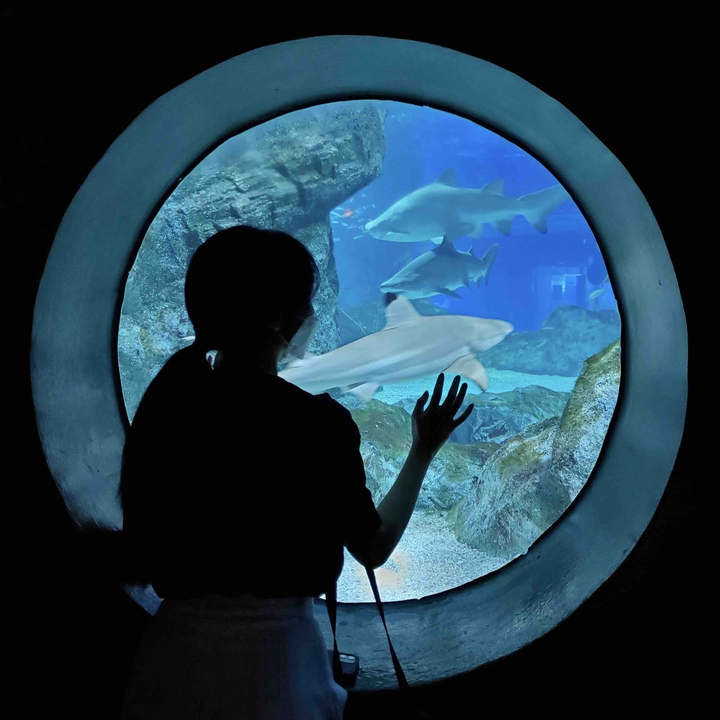 Aquarium