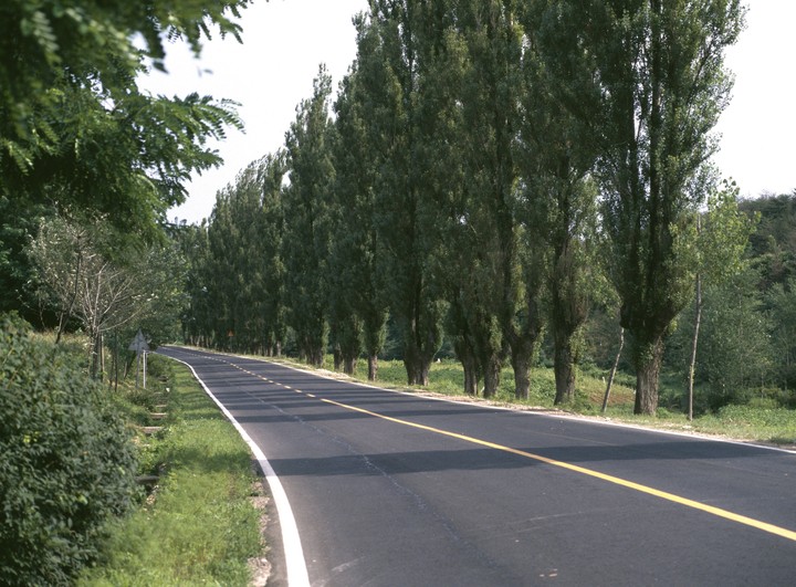Nature and Road