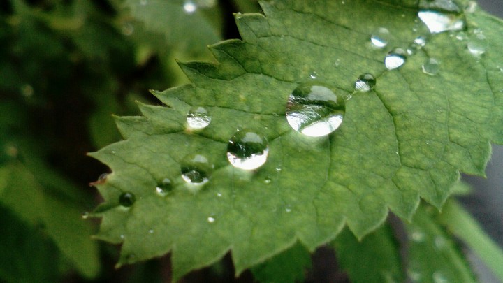 drop•