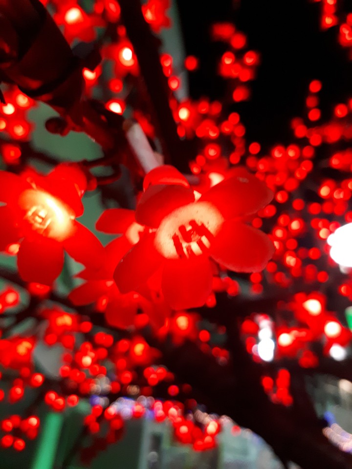 Red light bulbs.