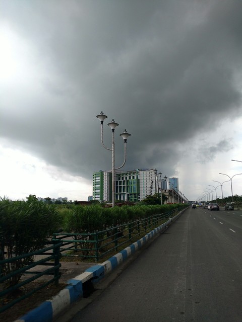 see the could
