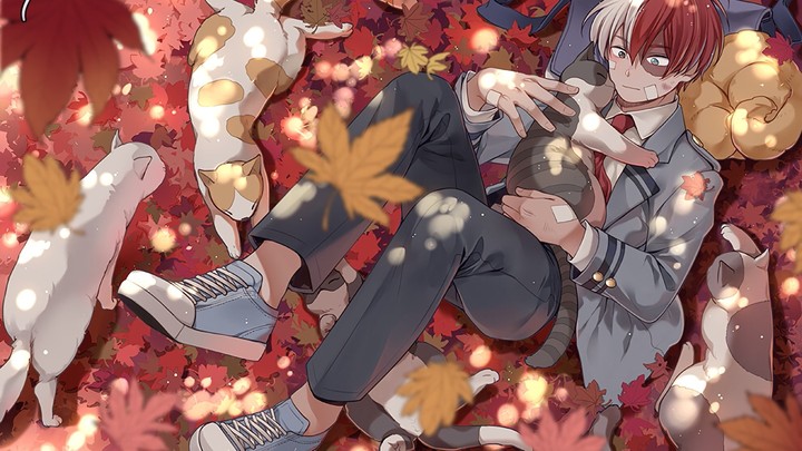 Todoroki