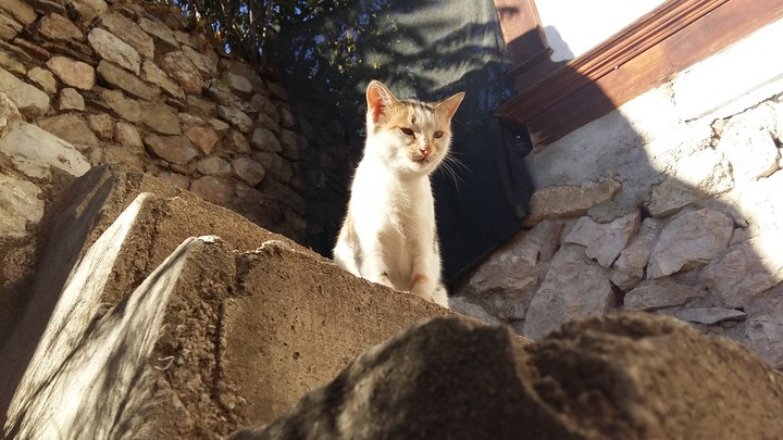 Sana bakmıyorum