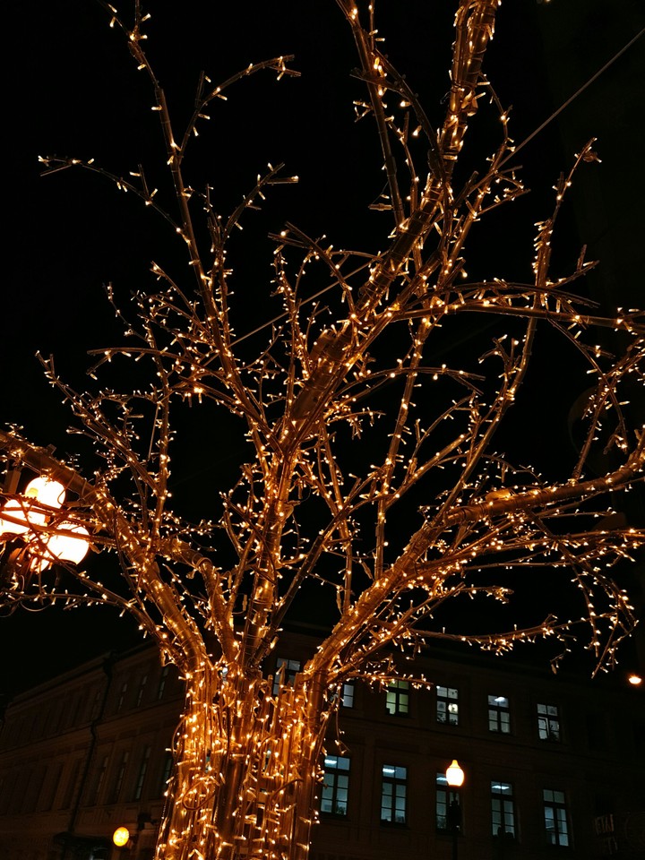 Tree