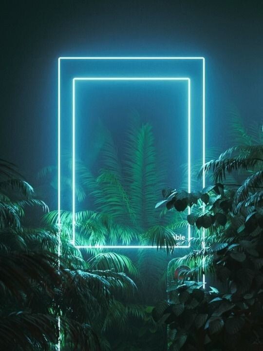 forest