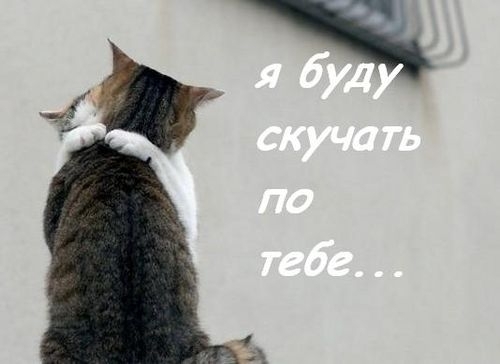 скучаю