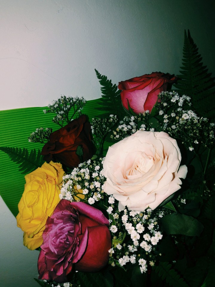 #rose