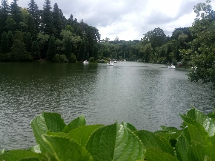 Logo Negro