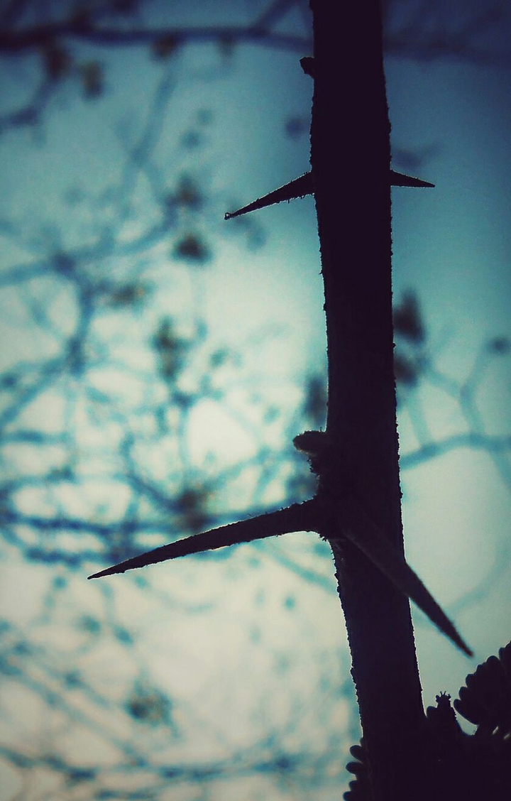 Spike