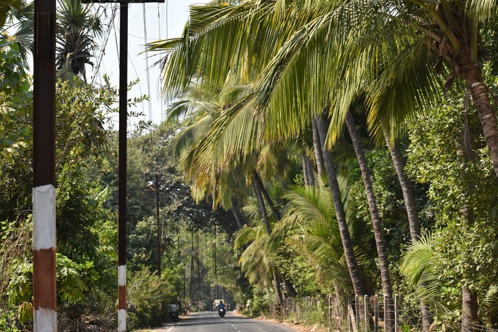 kokan india