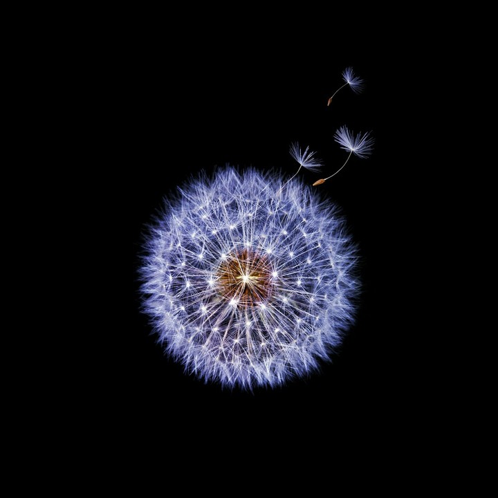 Samsung s9+