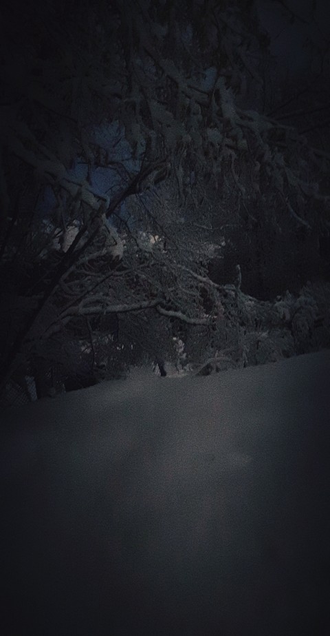 Lithuania. snow. night