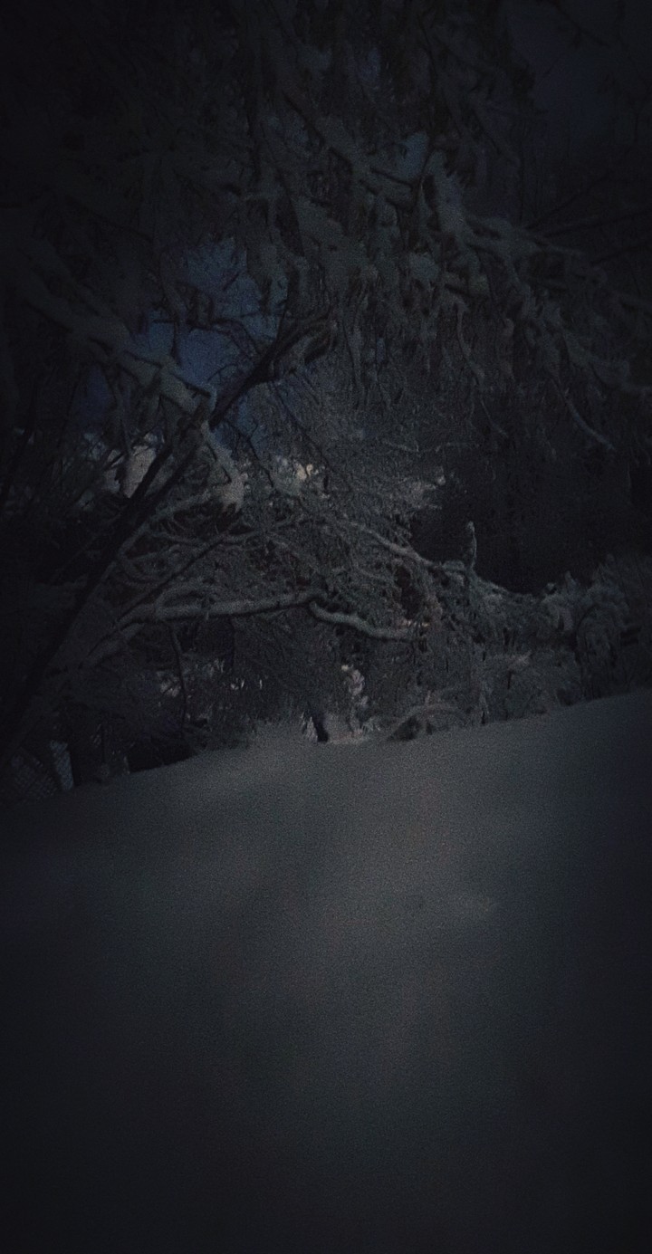 Lithuania. snow. night