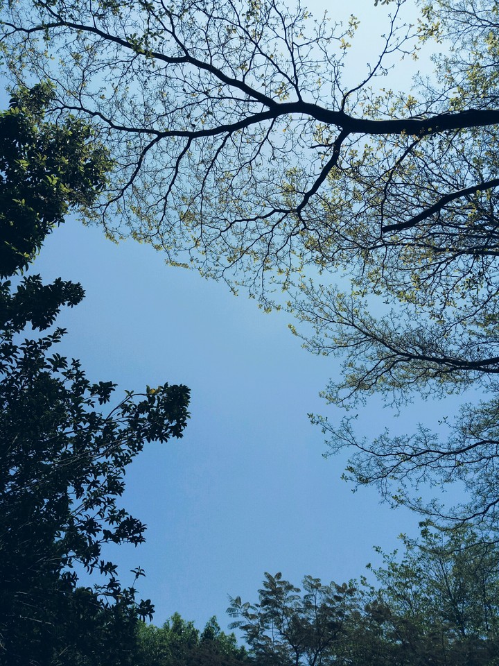 Nice Weather