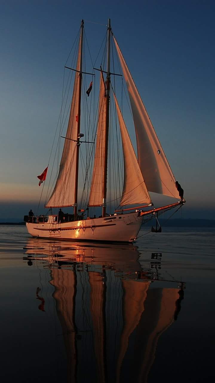 sail away ⛵