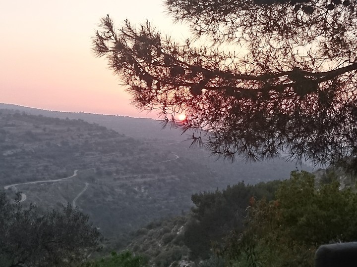 nature