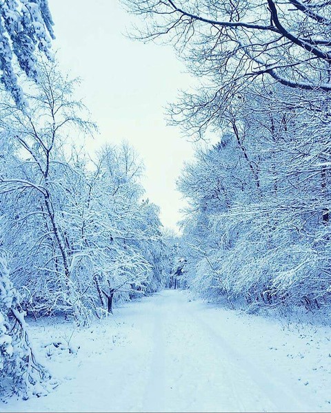 Snow