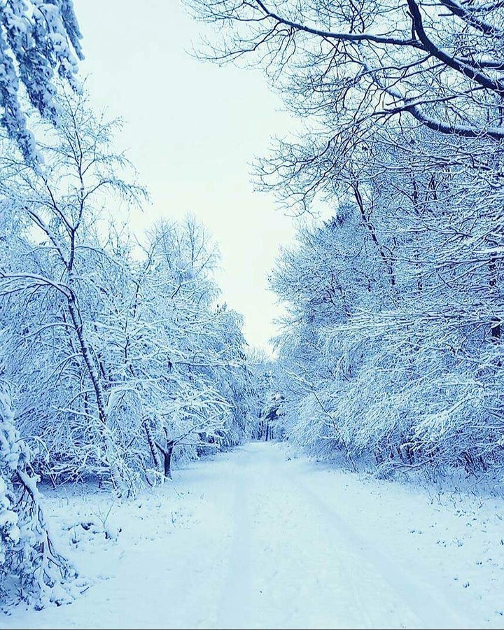 Snow