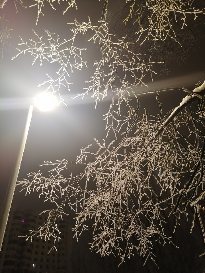 зима☃️