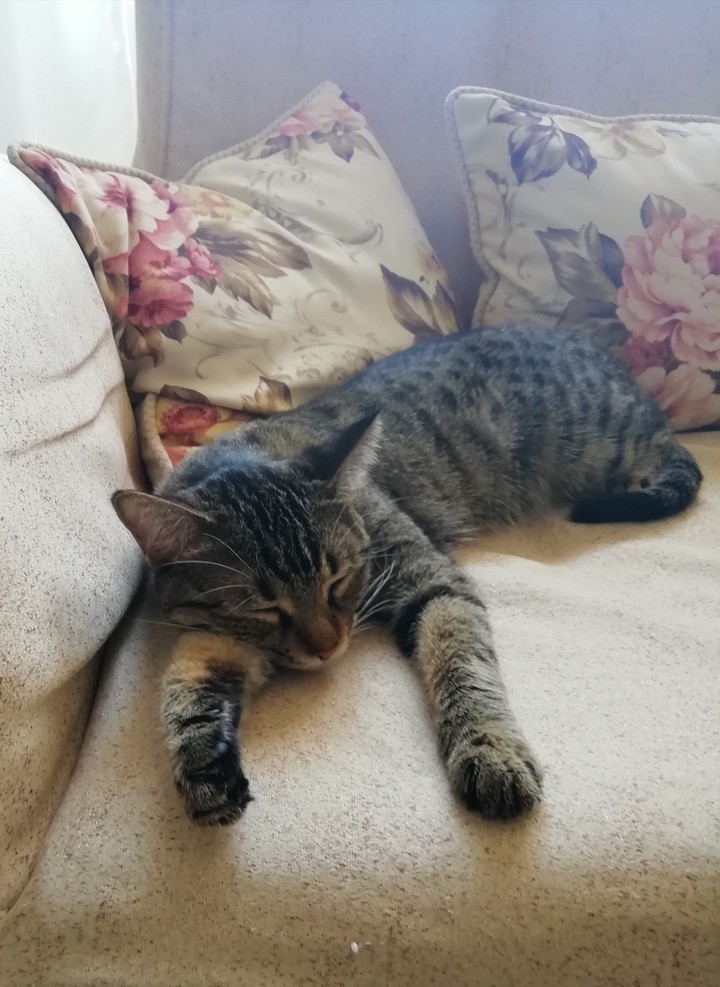 Nice Sleep