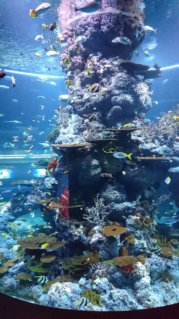 Sea Aquarium