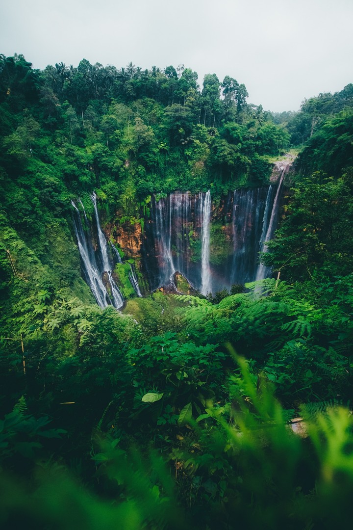 waterfall, rainforest háttérképek