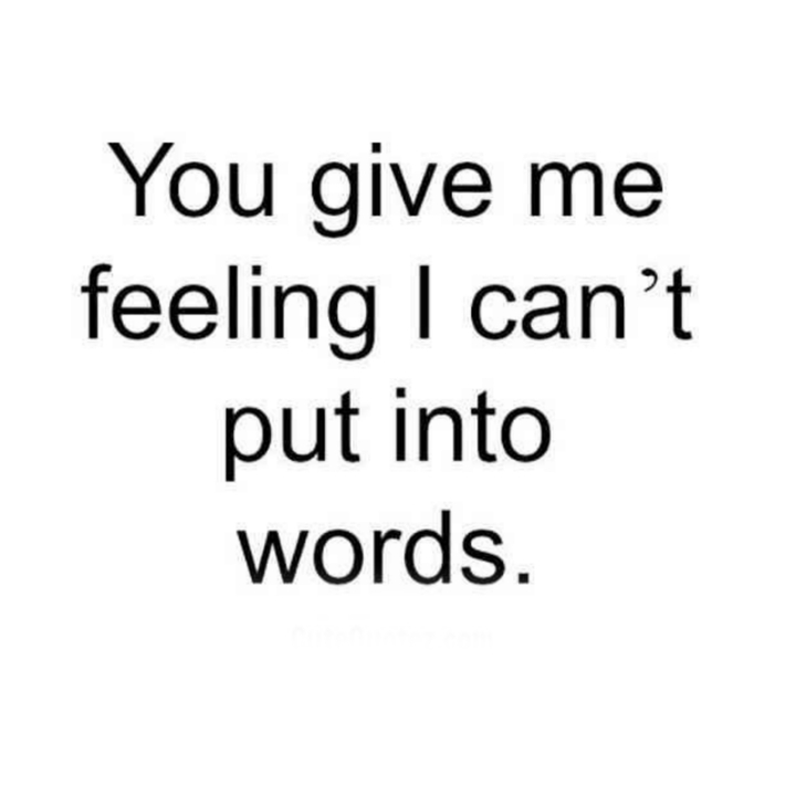 quote of the day