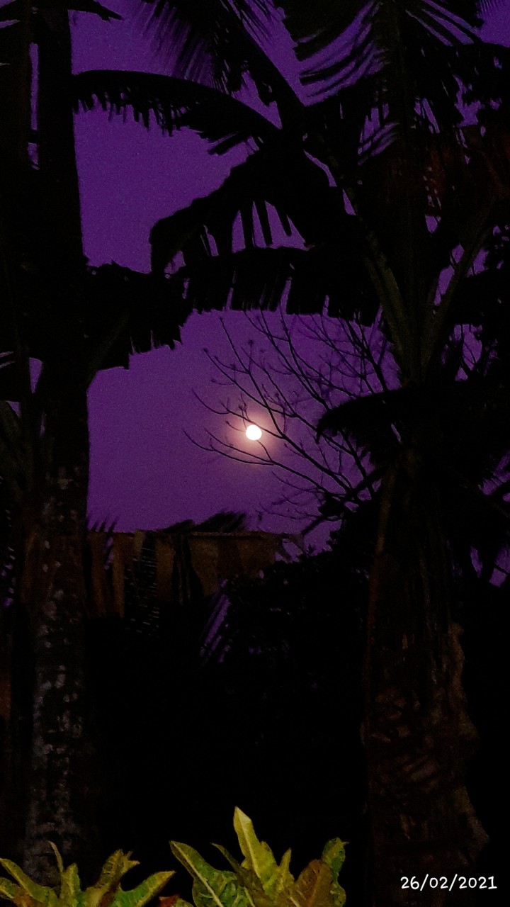 Full moon day