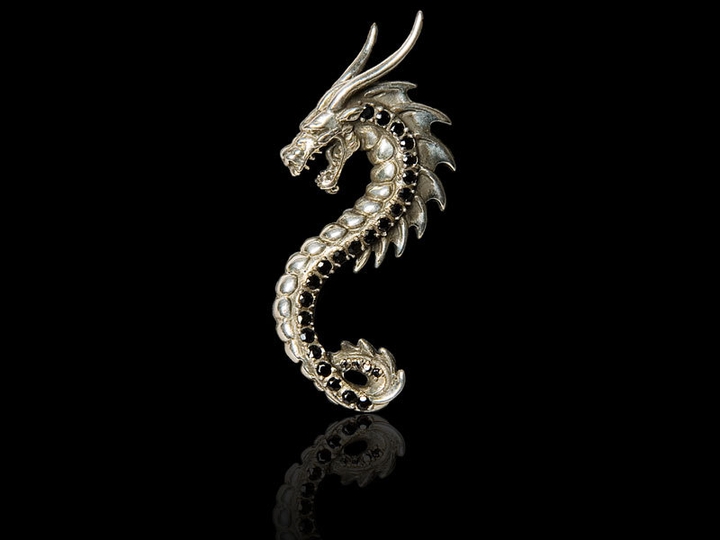 Dragon Jewelry