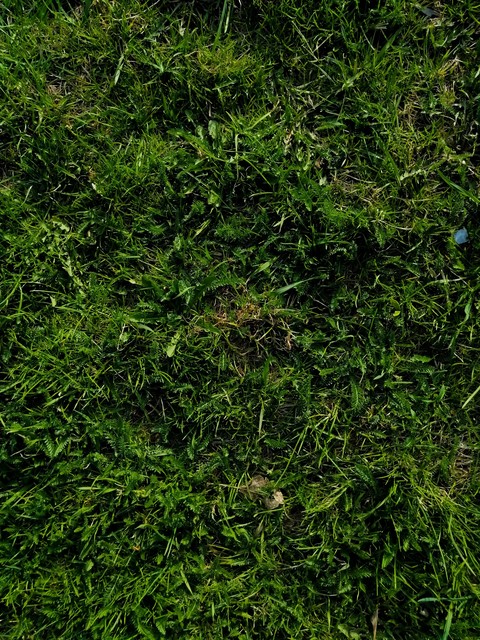 Texture