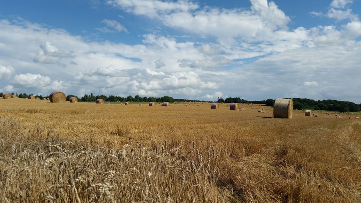Summer moved on...