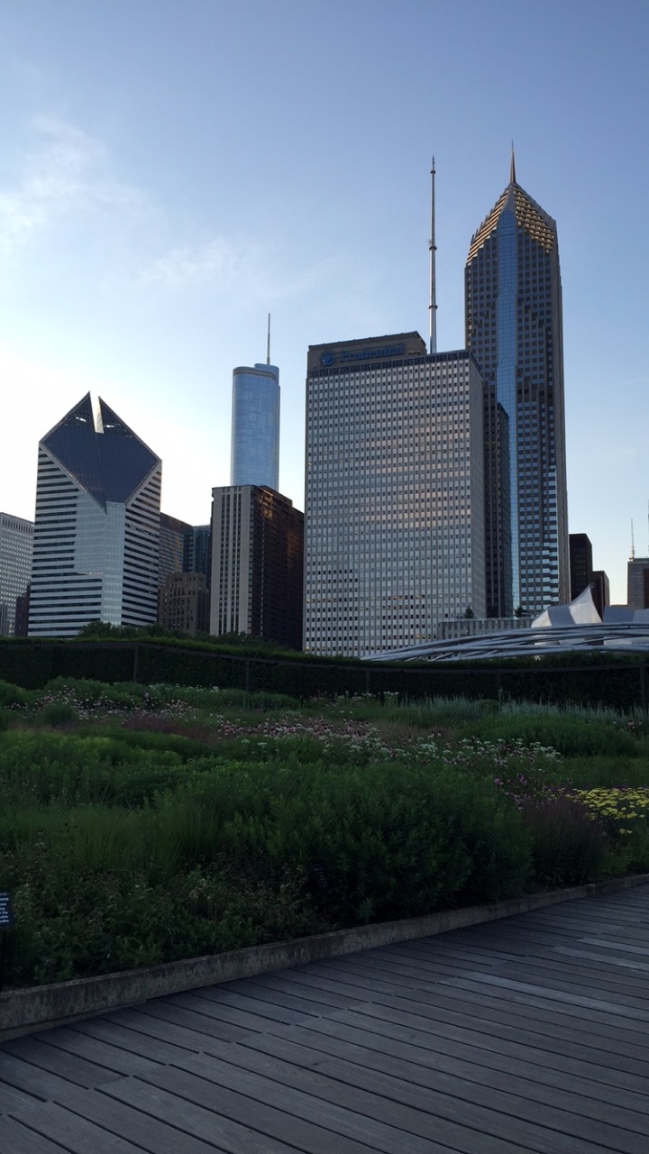 chicago