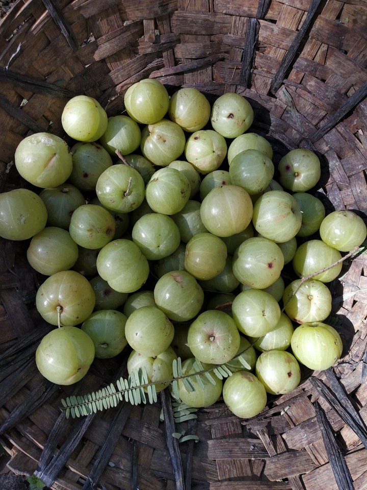 olives