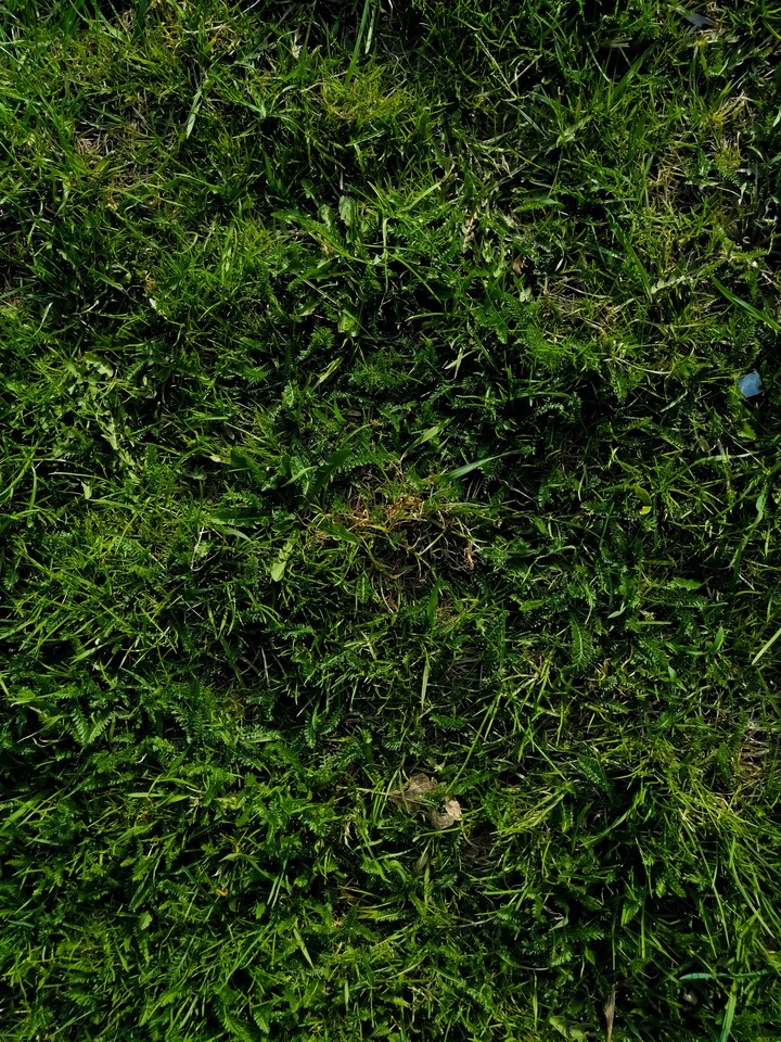 Texture