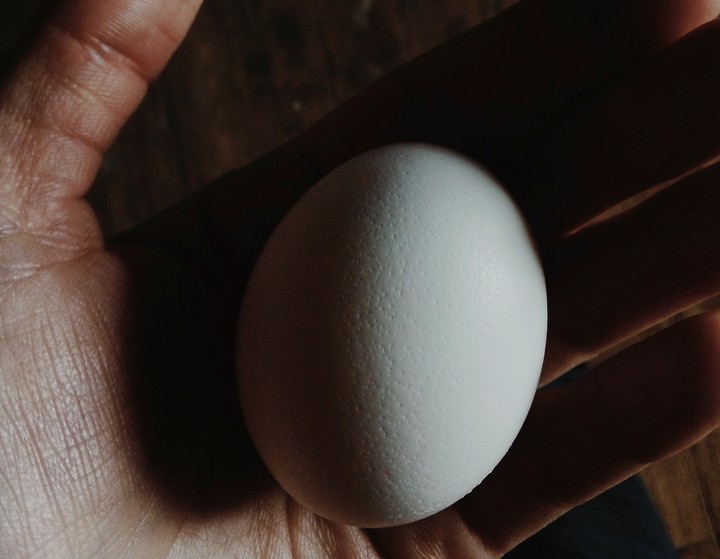 œuf de poule