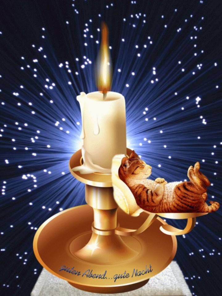 gute nacht