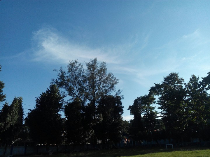 A Relaxation Summer