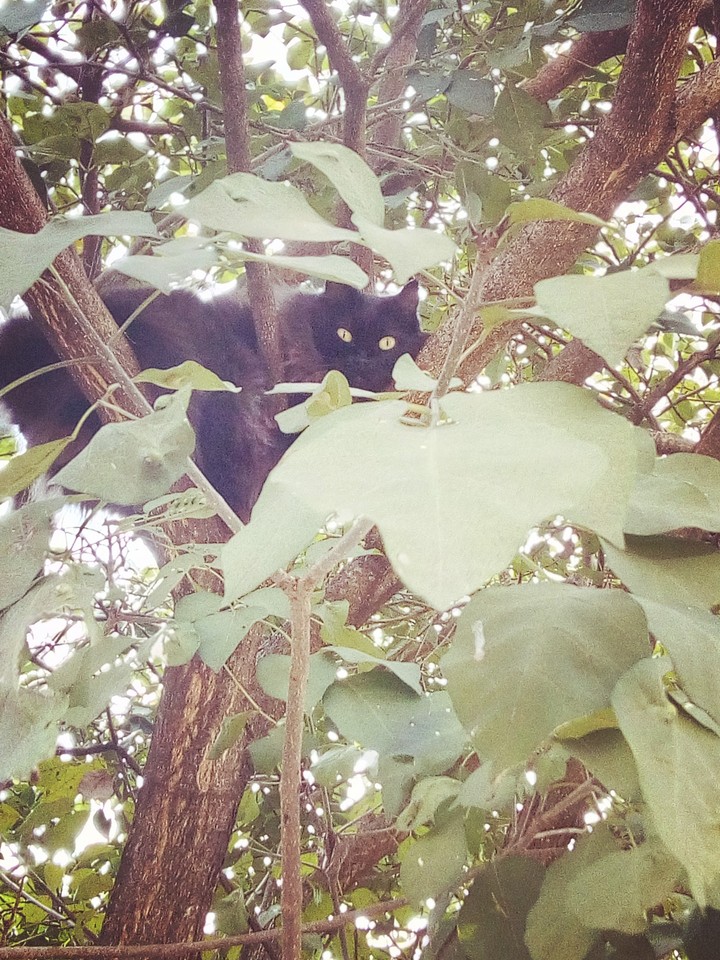♥️