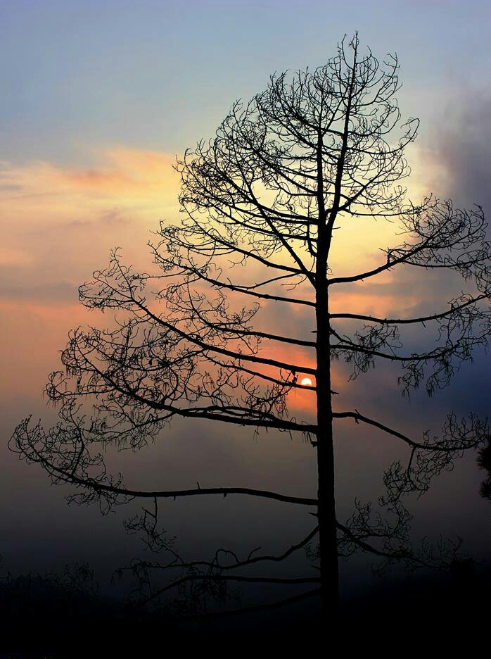 an evening...