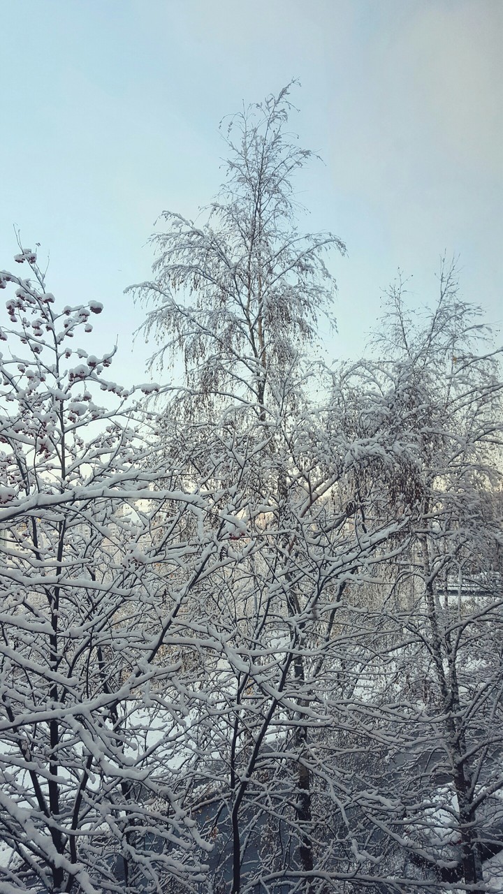 Winter is coming