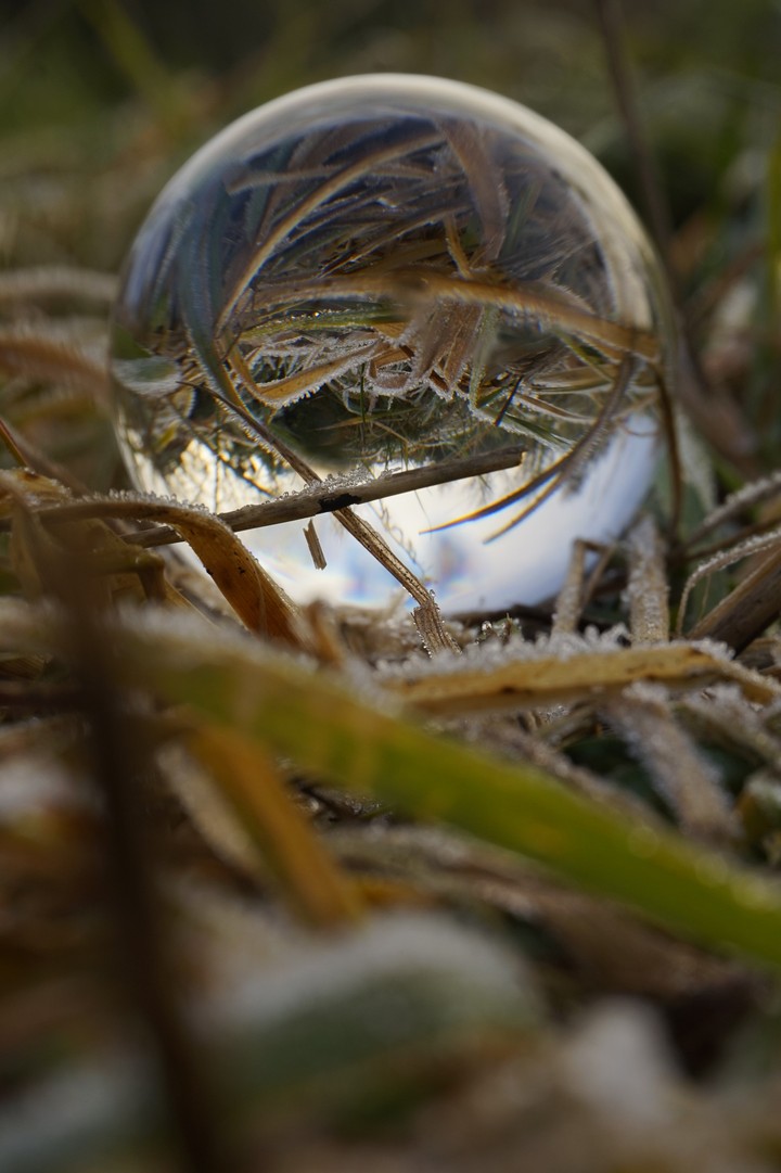 Glass